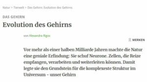 Das Gehirn: Evolution des Gehirns (Geo)